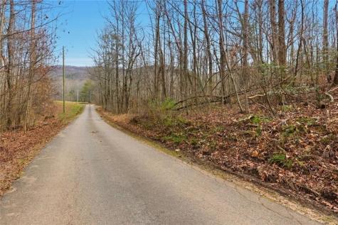 61 Bear Ridge Road Cleveland GA 30528