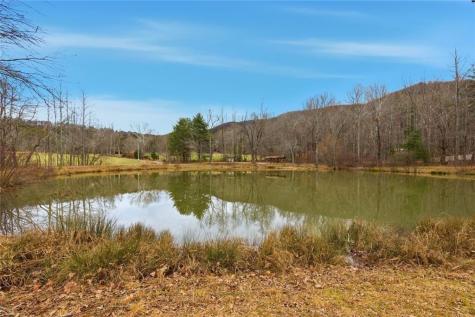 61 Bear Ridge Road Cleveland GA 30528