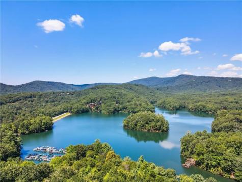 96 White Aster Lane Jasper GA 30143