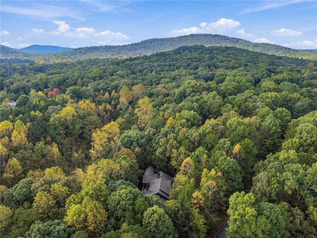 68 Cherokee Point Big Canoe GA 30143