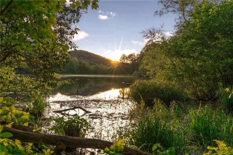 469 N Lake Drive Ellijay GA 30536