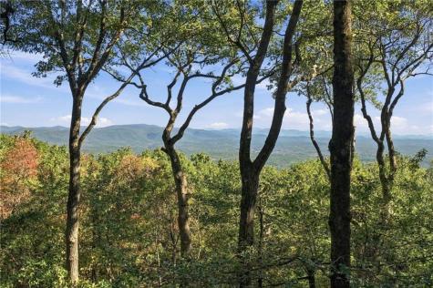 510 N Sanderlin Mountain Drive Big Canoe GA 30143