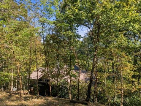 510 N Sanderlin Mountain Drive Big Canoe GA 30143