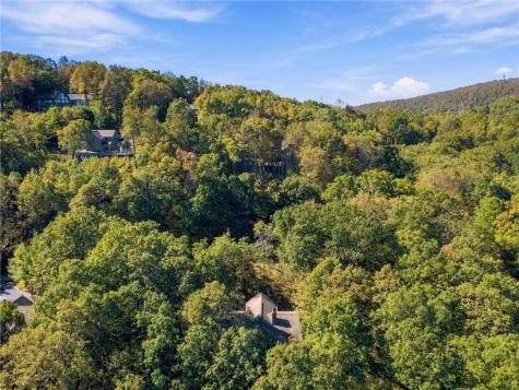510 N Sanderlin Mountain Drive Big Canoe GA 30143