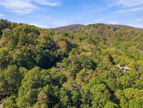 510 N Sanderlin Mountain Drive Big Canoe GA 30143