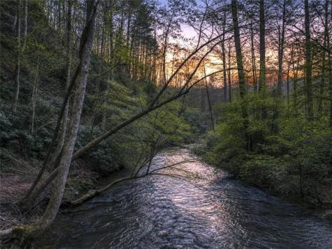 58 River Road Ellijay GA 30522