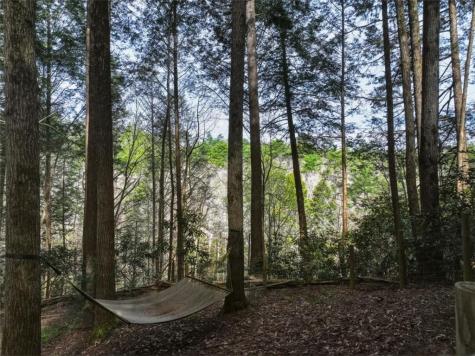 58 River Road Ellijay GA 30522
