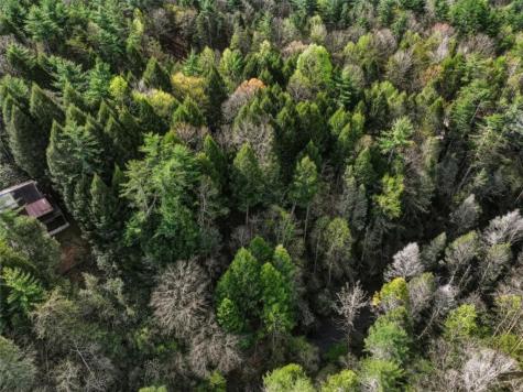 58 River Road Ellijay GA 30522