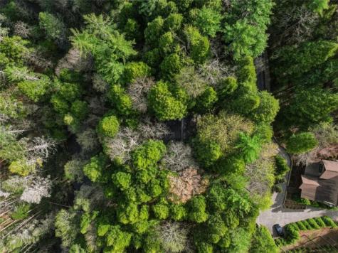 58 River Road Ellijay GA 30522
