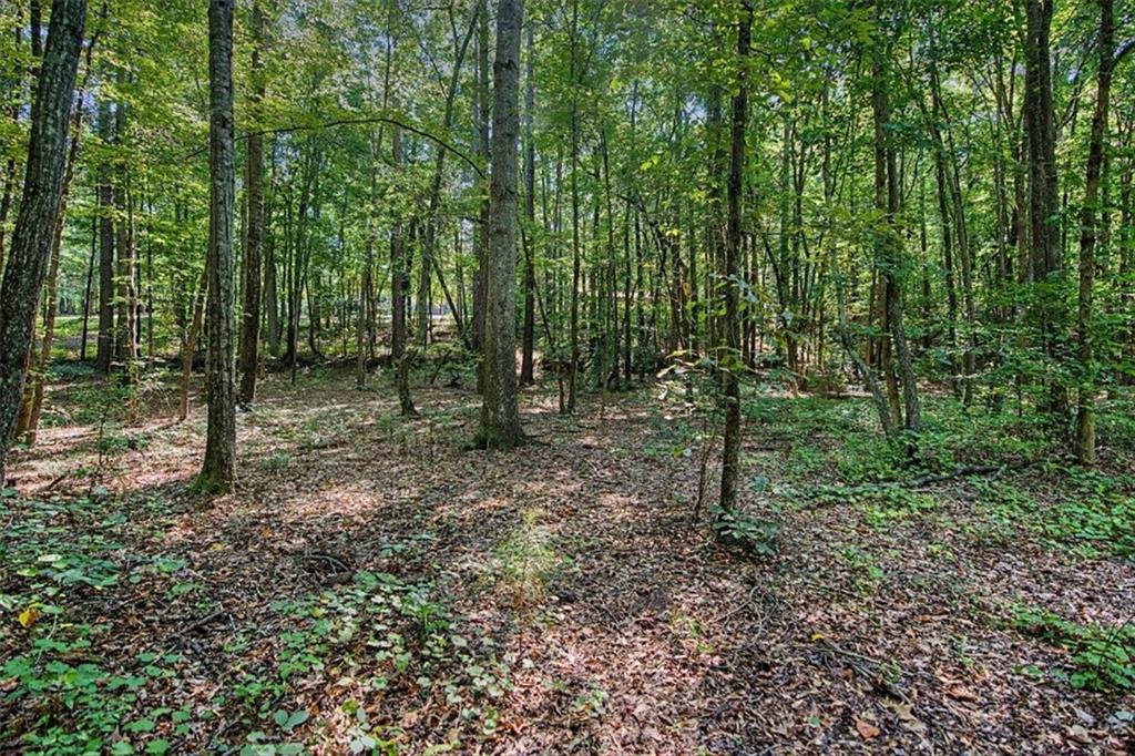 416 Old Jones Road Whitesburg GA 30185
