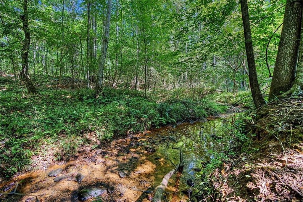 416 Old Jones Road Whitesburg GA 30185