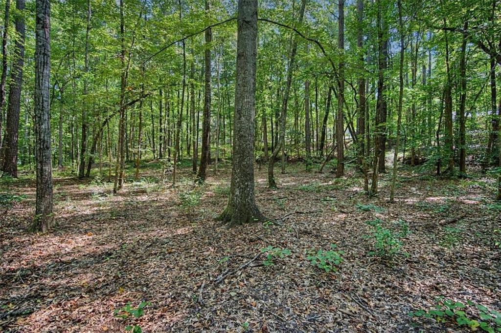 416 Old Jones Road Whitesburg GA 30185