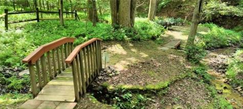 54 Shiloh Court Ellijay GA 30540
