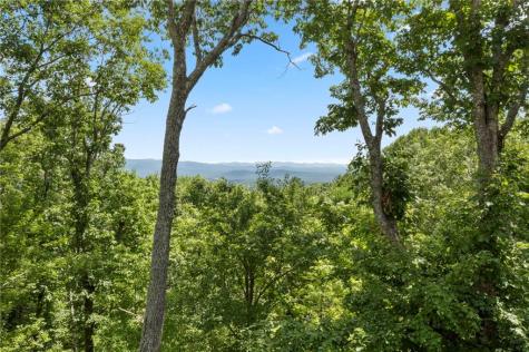 62 Bear Cub Ridge Big Canoe GA 30143