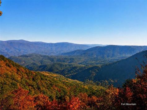 1503 Garnet Drive Ellijay GA 30540