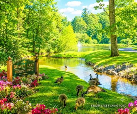 1503 Garnet Drive Ellijay GA 30540