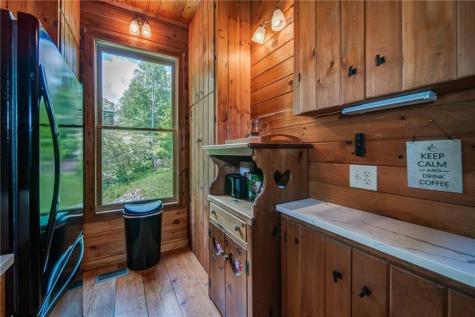 64 Bear Lake Drive Blue Ridge GA 30513