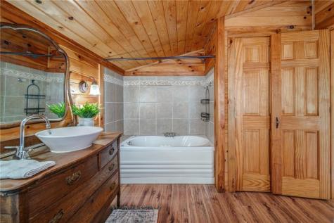 64 Bear Lake Drive Blue Ridge GA 30513
