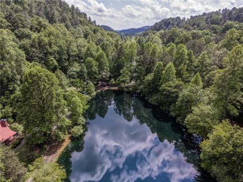 64 Bear Lake Drive Blue Ridge GA 30513