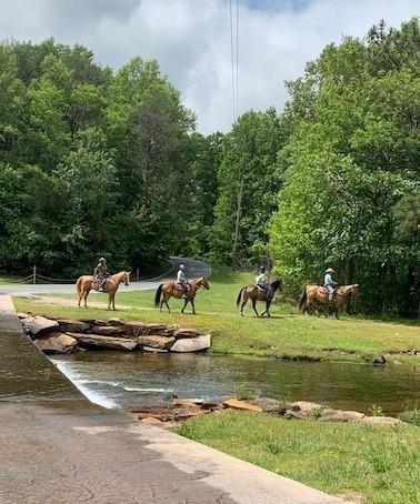 999 Crippled Oak Trail Jasper GA 30143