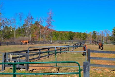 999 Crippled Oak Trail Jasper GA 30143