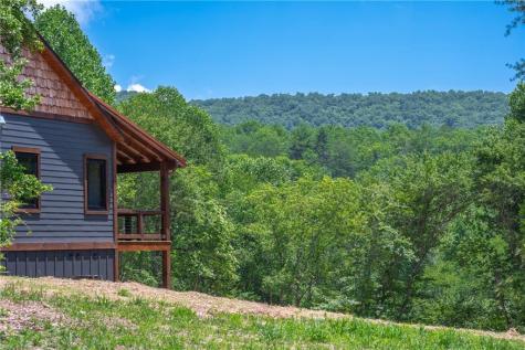 42 Waterstone Way Mineral Bluff GA 30559
