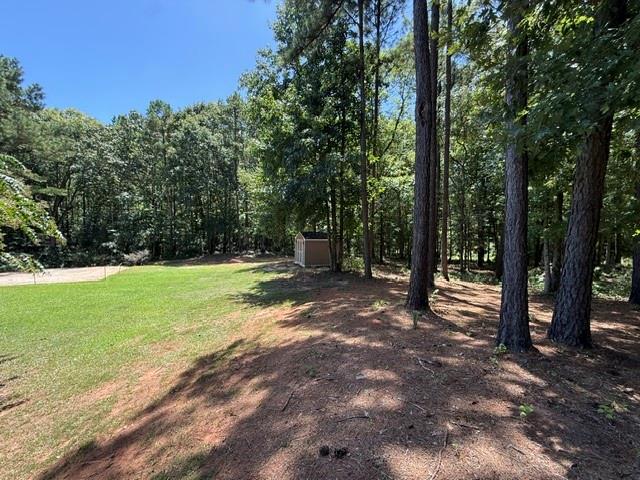 1130 Irish Hill Drive Concord GA 30206