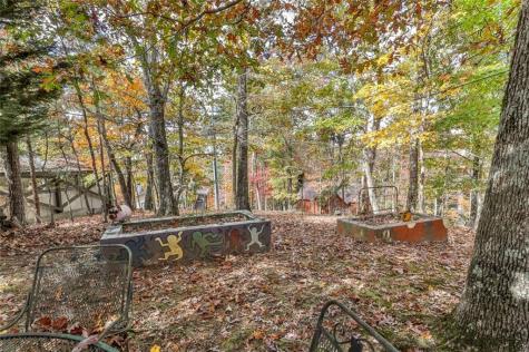 20 Palisade Drive Ellijay GA 30540