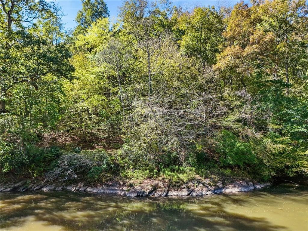 328 Cain Creek Overlook Ball Ground GA 30107