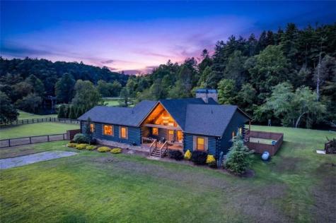 113 Downy Road Blue Ridge GA 30513