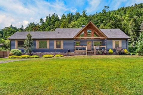113 Downy Road Blue Ridge GA 30513