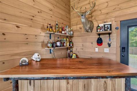 113 Downy Road Blue Ridge GA 30513