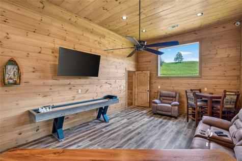 113 Downy Road Blue Ridge GA 30513