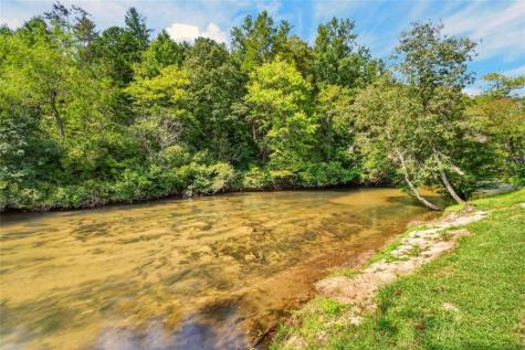 113 Downy Road Blue Ridge GA 30513