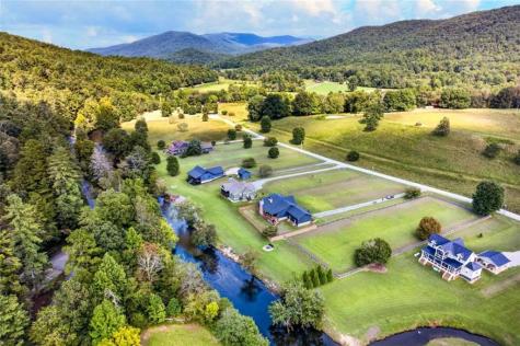 113 Downy Road Blue Ridge GA 30513