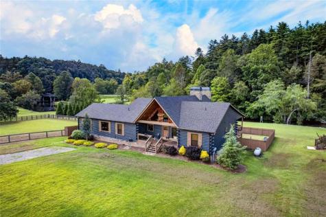 113 Downy Road Blue Ridge GA 30513