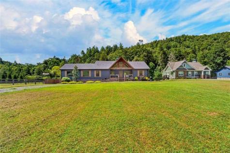 113 Downy Road Blue Ridge GA 30513