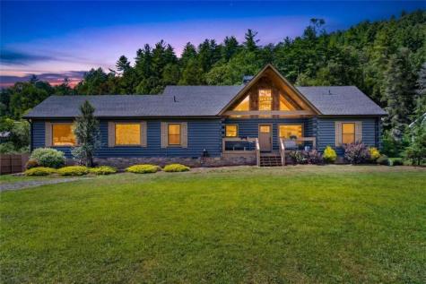113 Downy Road Blue Ridge GA 30513