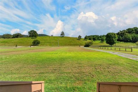 113 Downy Road Blue Ridge GA 30513