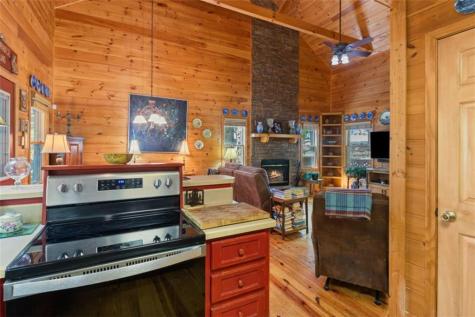 80 Stegall Mill Ridge Ellijay GA 30536