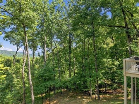 1458 Valley View Drive Big Canoe GA 30143