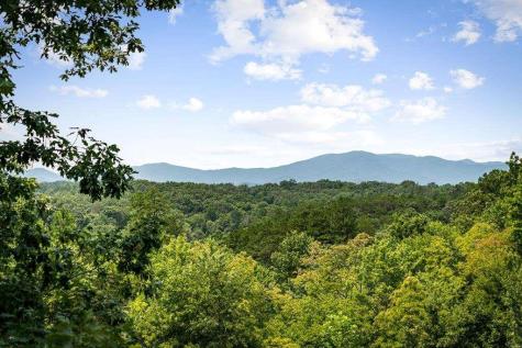 185 Austin Mountain Road Copperhill TN 37317