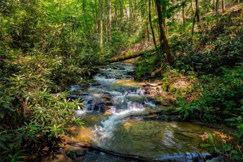 122 Laurel Creek Trail Blue Ridge GA 30513
