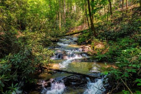 122 Laurel Creek Trail Blue Ridge GA 30513