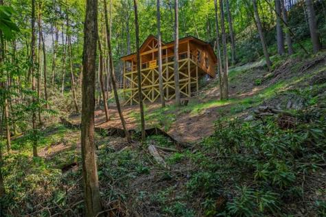 122 Laurel Creek Trail Blue Ridge GA 30513