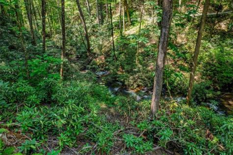 122 Laurel Creek Trail Blue Ridge GA 30513