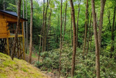 122 Laurel Creek Trail Blue Ridge GA 30513