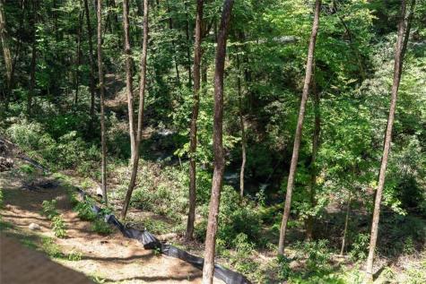 122 Laurel Creek Trail Blue Ridge GA 30513