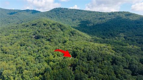 51 Trout Lily Trail Big Canoe GA 30143