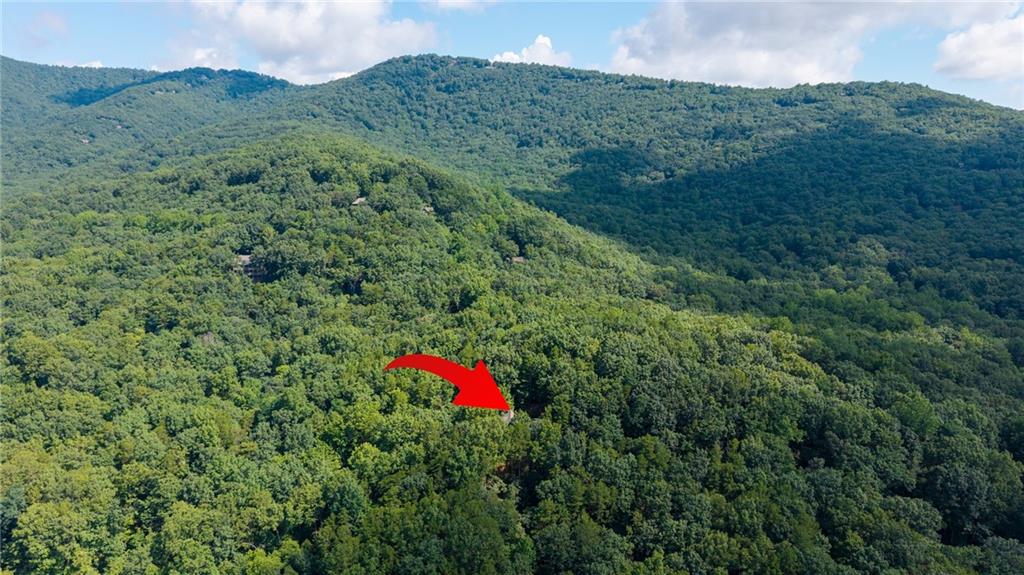 51 Trout Lily Trail Big Canoe GA 30143